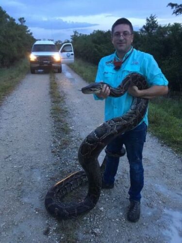 CROW Speaker Series to host Jan. 9 presentation on Burmese pythons
